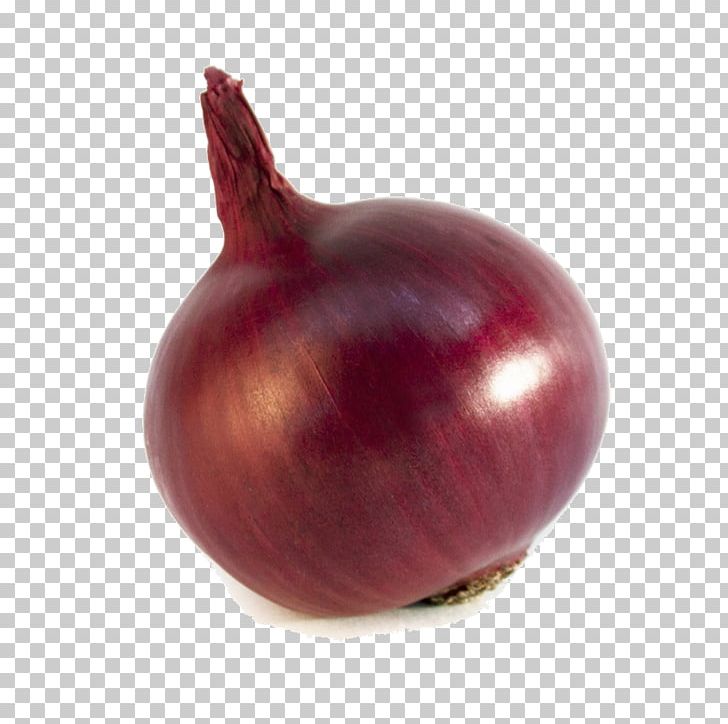 Shallot Vegetable Food Red Onion Fruit PNG, Clipart, Beet, Bell Pepper, Eggplant, Food, Food Drinks Free PNG Download