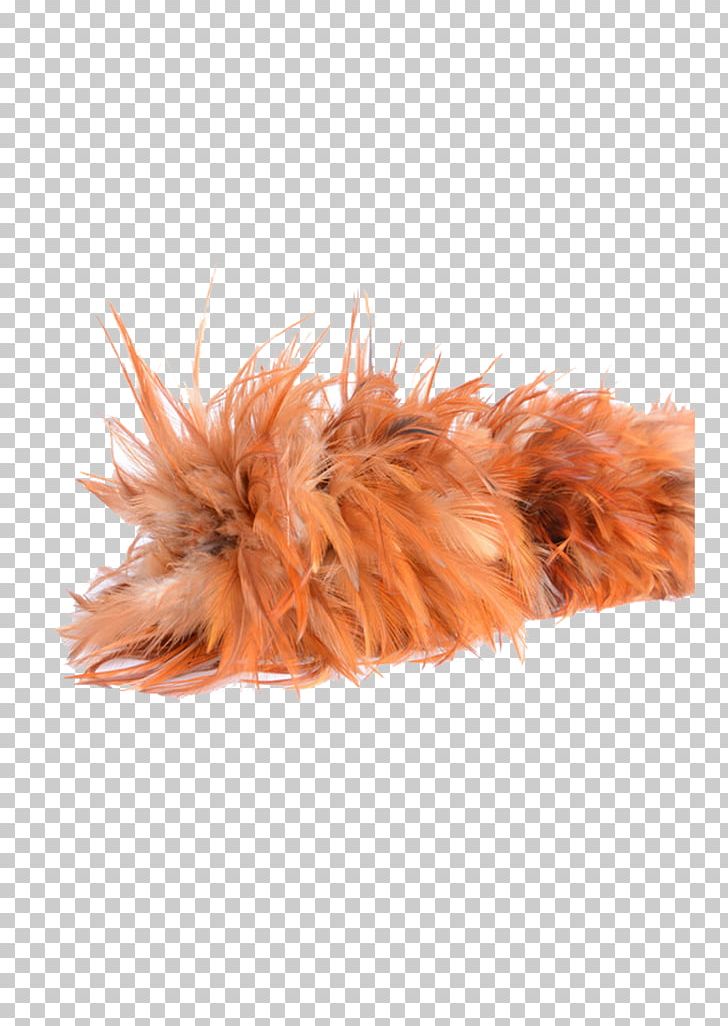 Feather Duster Cleaning PNG, Clipart, Animals, Animation, Clean, Cleaning, Download Free PNG Download