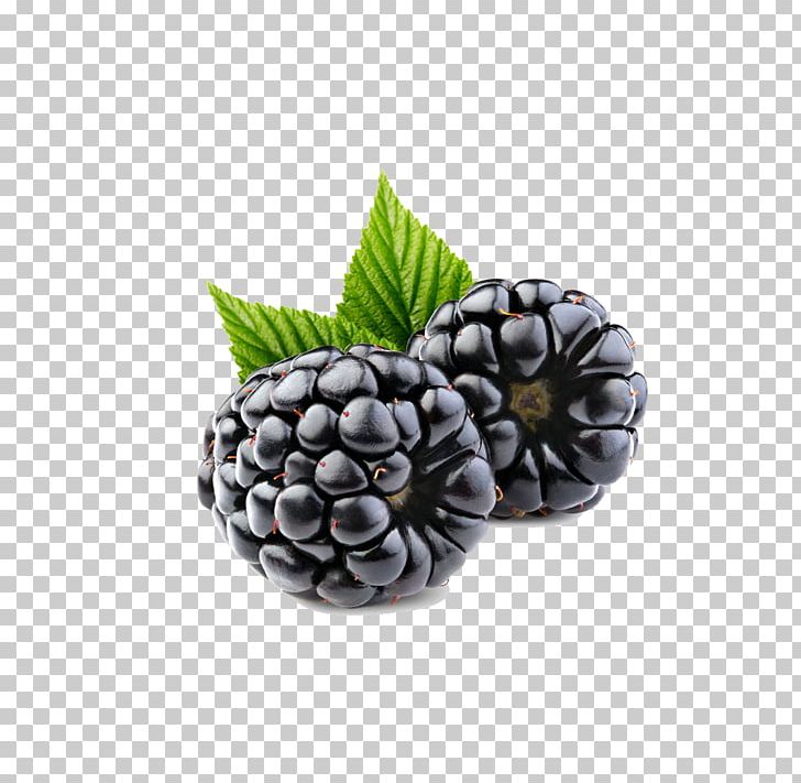 Frutti Di Bosco Raspberry Blueberry Blackberry Fruit PNG, Clipart, Berry, Black, Blackberry, Blueberry, Bosco Free PNG Download