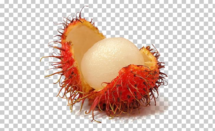 Rambutan Fruit Nephelium Chryseum TIFF PNG, Clipart, Cashew, Encapsulated Postscript, Food, Fruit, Fruit Clipart Free PNG Download