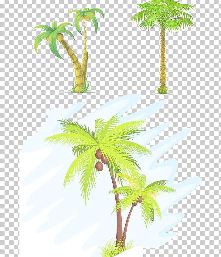 Coconut Tree Arecaceae PNG, Clipart, Arecaceae, Arecales, Beach, Beach Elements, Borassus Flabellifer Free PNG Download
