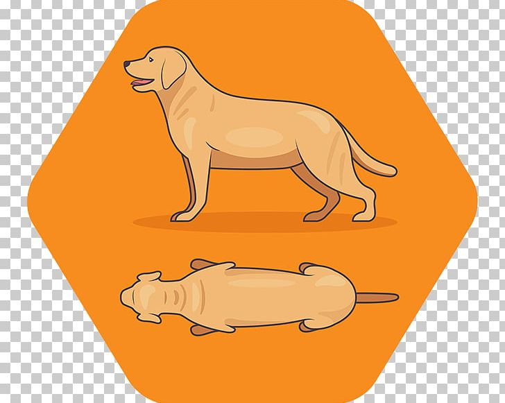 Dog Breed Puppy Weight Measuring Scales PNG, Clipart, Animals, Big Cats, Calculation, Carnivoran, Cartoon Free PNG Download