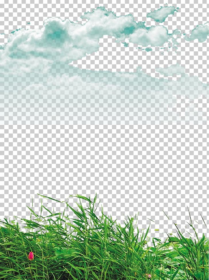 Lawn PNG, Clipart, Blue, Blue Background, Blue Flower, Blue Sky And White Clouds, Cloud Free PNG Download
