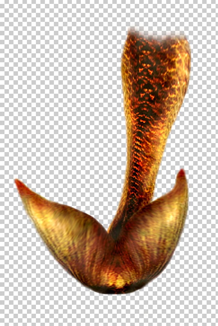 Mermaid Tail PNG, Clipart, Desktop