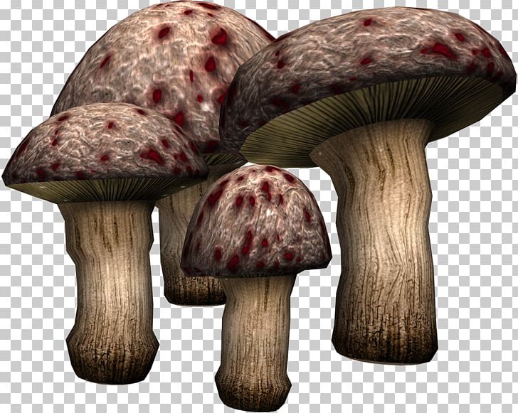 Mushroom Fungus PNG, Clipart, Agaricus, Art, Deviantart, Food, Fungus Free PNG Download