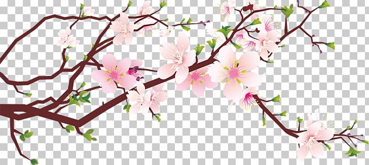 Cherry Blossom PNG, Clipart, Blossoms, Branch, Branches, Cherry, Cherry Blossoms Free PNG Download