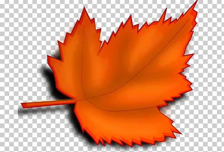 Desktop Autumn Leaf Color PNG, Clipart, Autumn, Autumn Leaf Color, Autumn Leaves, Clip Art, Computer Icons Free PNG Download