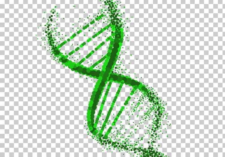 DNA Extraction Genetics Genetically Modified Organism PNG, Clipart, Crop, Data, Dna, Dna Extraction, Extraction Free PNG Download
