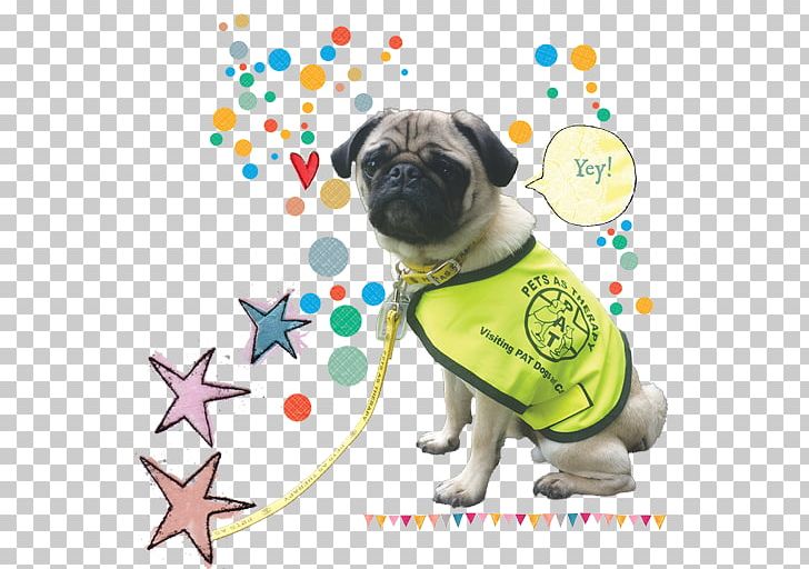 Pug Puppy Dog Breed Companion Dog Toy Dog PNG, Clipart, Animals, Breed, Carnivoran, Clothing, Companion Dog Free PNG Download