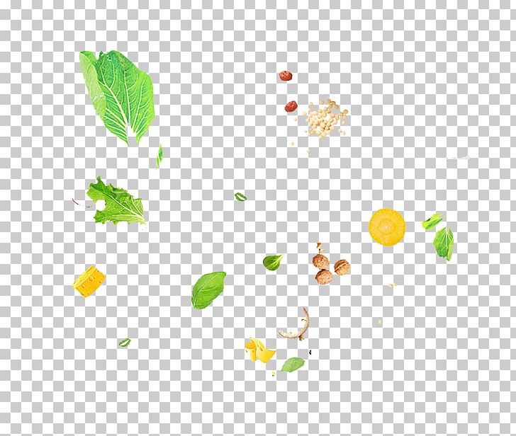 Vegetable Fruit Food PNG, Clipart, Apple Fruit, Area, Auglis, Download, Float Free PNG Download