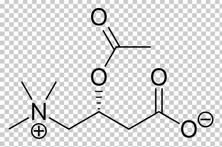 Amino Acid 3-Nitrobenzoic Acid 4-Nitrobenzoic Acid 4-Hydroxybenzoic Acid PNG, Clipart, 3nitrobenzoic Acid, 4hydroxybenzoic Acid, 4nitrobenzoic Acid, Acetic Acid, Acetylcarnitine Free PNG Download