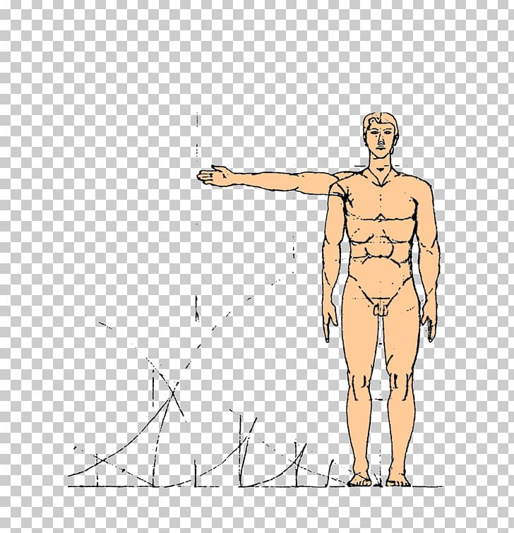 Finger Homo Sapiens Proportionality Golden Ratio Visual Arts PNG, Clipart, Abdomen, Angle, Arm, Art Model, Barechestedness Free PNG Download