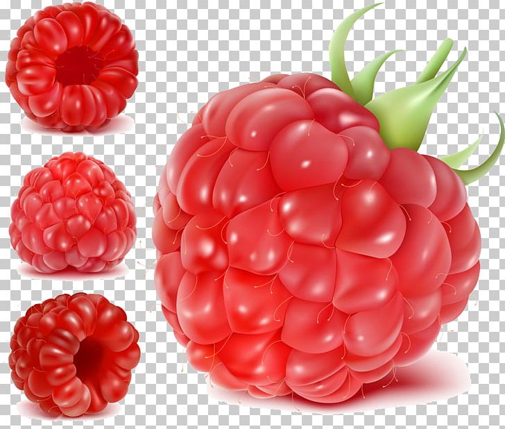 Frutti Di Bosco Raspberry Fruit Euclidean PNG, Clipart, Berry, Computer Icons, Food, Fresh, Fruit Nut Free PNG Download