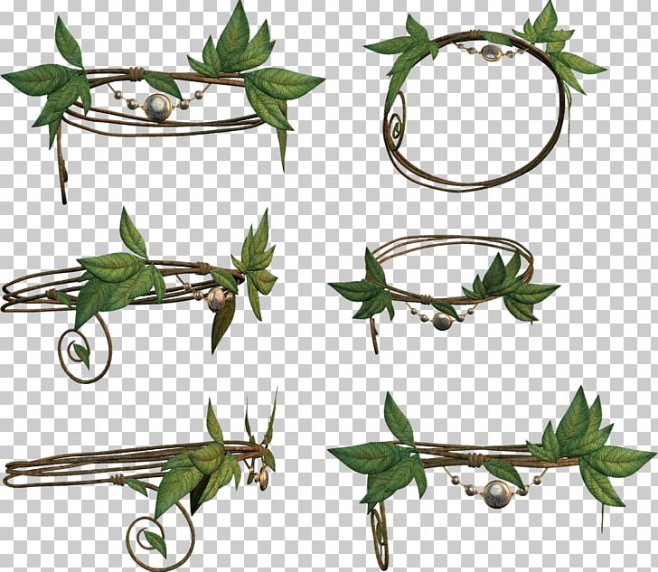 Graphics Crown Logo PNG, Clipart, Body Jewelry, Branch, Flora, Grass, Jewellery Free PNG Download
