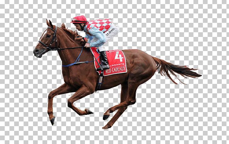 Horse Racing Jockey Sports Betting PNG, Clipart, Animal Sports, Betting Exchange, Betting Strategy, Bonecrusher, Bridle Free PNG Download