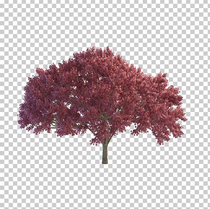 Tree Desktop Encapsulated PostScript PNG, Clipart, Blossom, Cherry, Cherry Blossom, Clip Art, Desktop Wallpaper Free PNG Download