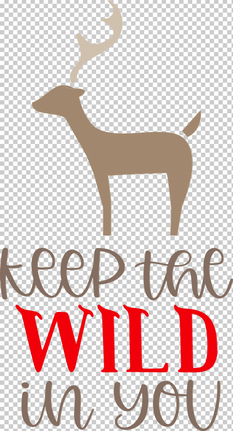 Reindeer PNG, Clipart, Antler, Biology, Deer, Geometry, Keep Wild Free PNG Download