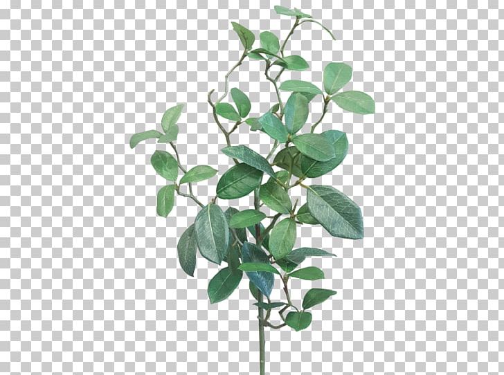 Branch Leaf Gardenia Plant Stem JMC Floral PNG, Clipart, Artificial Flower, Branch, Flower, Flower Bouquet, Flowerpot Free PNG Download