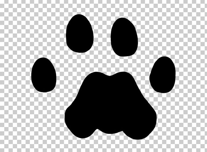 Cougar Lion Dog Animal Track Paw PNG, Clipart, American Black Bear, Animals, Animal Track, Black, Black And White Free PNG Download