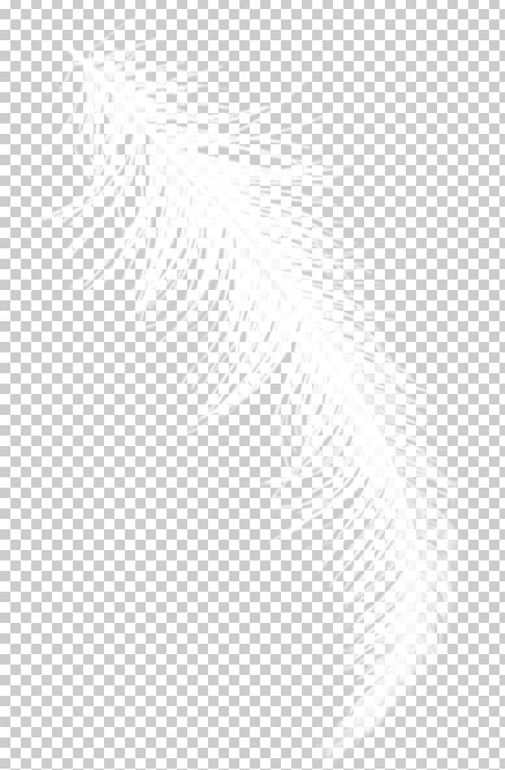 White Black Angle Pattern PNG, Clipart, Angel, Angle, Animals, Black, Black And White Free PNG Download
