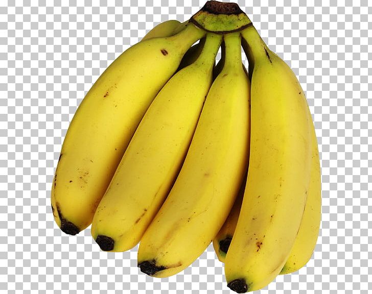 Breakfast Banana Bread Milkshake Lady Finger Banana PNG, Clipart, Banana, Banana Bread, Banana Family, Banana Peel, Banana Plantation Free PNG Download
