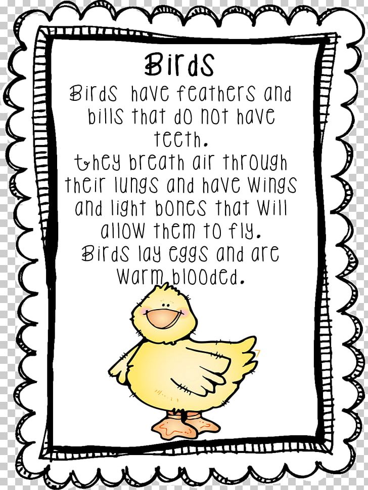 First Grade Kindergarten Family Teacher School PNG, Clipart, Area, Art, Beak, Bird, Class Free PNG Download