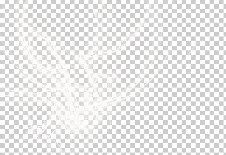 White Symmetry Black Pattern PNG, Clipart, Angle, Black, Black And White, Christmas Lights, Divergence Free PNG Download