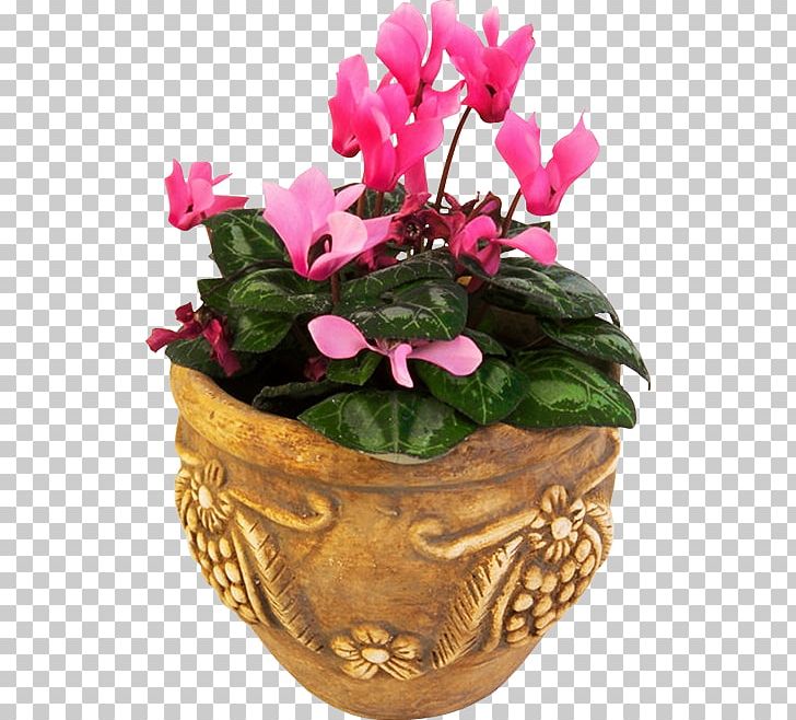 Flowerpot Cyclamen Floral Design PNG, Clipart, Animaatio, Artificial Flower, Cut Flowers, Cyclamen, Diary Free PNG Download