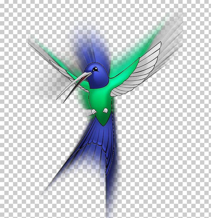 Hummingbird Wing Insect Desktop Beak PNG, Clipart, Animals, Beak, Beija Flor, Bird, Closeup Free PNG Download