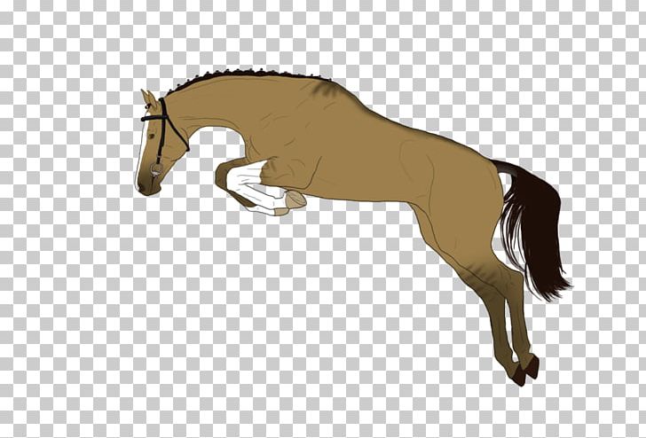 Mane Foal Stallion Rein Mare PNG, Clipart, Bridle, Colt, English Riding, Equestrian, Fictional Character Free PNG Download