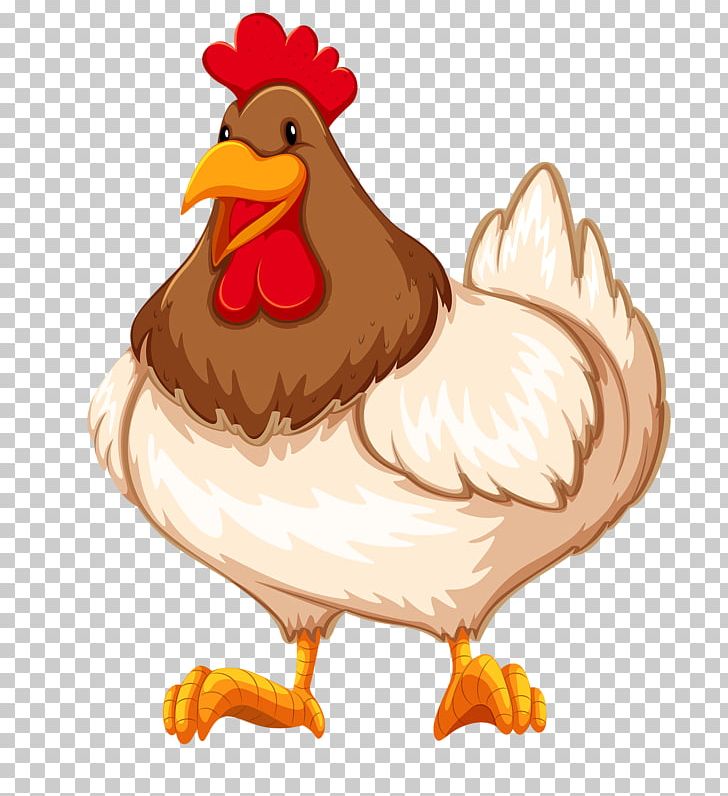 Chicken Rooster Kifaranga PNG, Clipart, Animals, Art Farmer, Beak, Bird, Chicken Free PNG Download