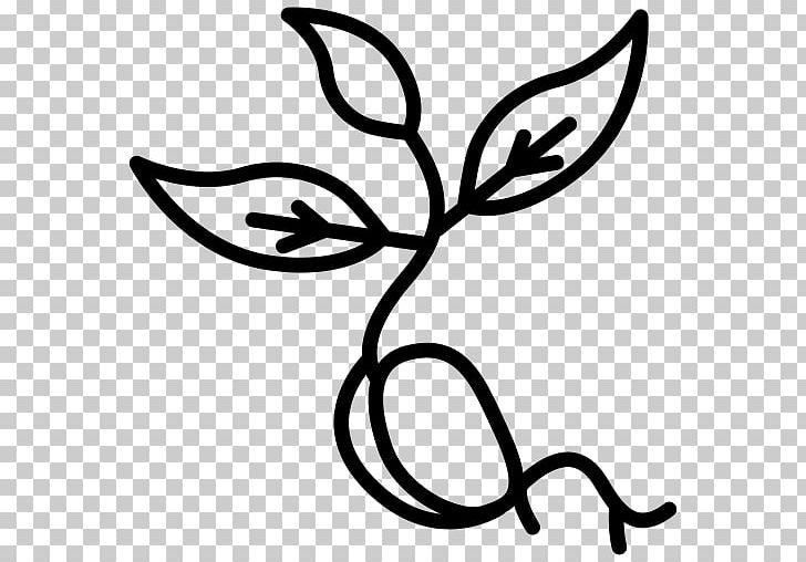 Leaf Line Art Plant Stem Flower PNG, Clipart, Artwork, Beans, Black And White, Flora, Flower Free PNG Download
