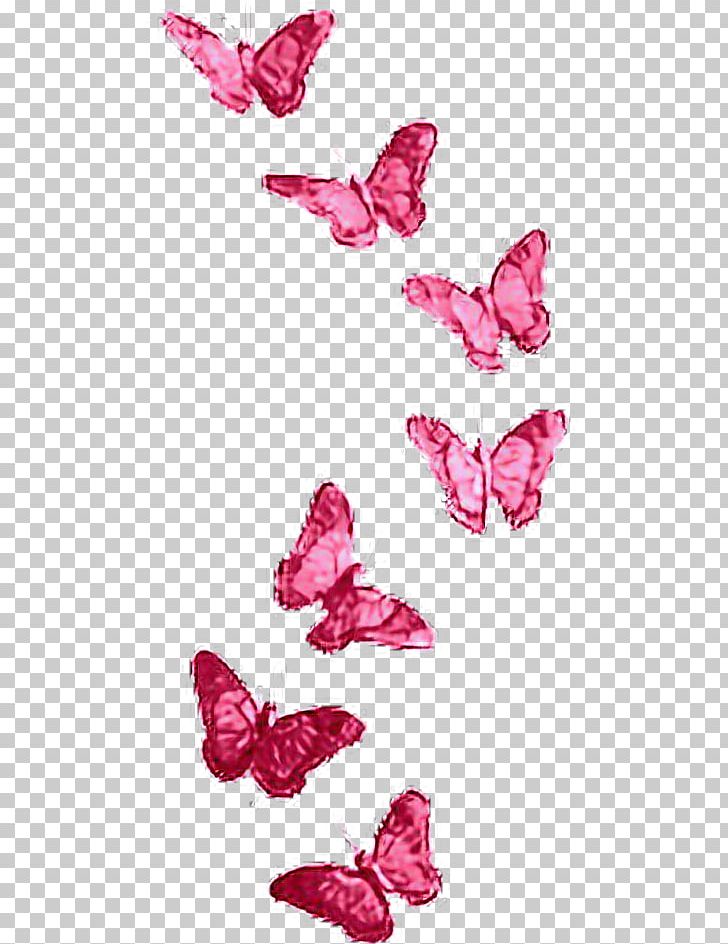 Portable Network Graphics Butterfly Photography PNG, Clipart, Bit, Blingee, Butterflies And Moths, Butterfly, Collage Free PNG Download