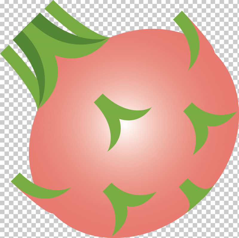 Kohlrabi PNG, Clipart, Fruit, Green, Kohlrabi, Leaf, Logo Free PNG Download