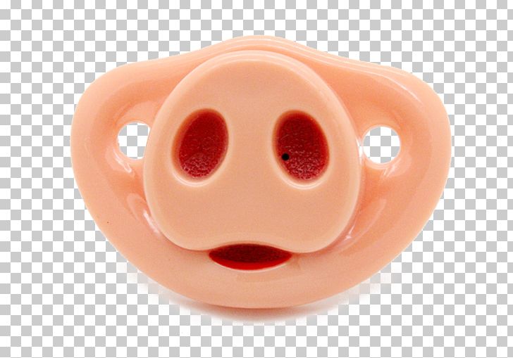 Domestic Pig Nose Euclidean PNG, Clipart, Animal, Closeup, Domestic Pig, Download, Ear Free PNG Download
