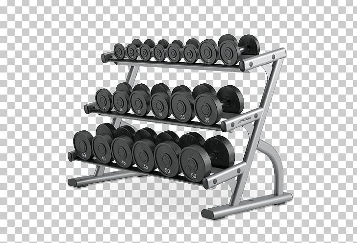 Dumbbell Weight Training Fitness Centre Exercise Equipment Strength Training PNG, Clipart, Bench, Dumbbell, Exercise Equipment, Fitness Centre, Life Fitness Free PNG Download