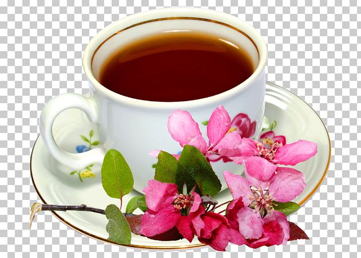 Earl Grey Tea Green Tea Flowering Tea Mate Cocido PNG, Clipart, Alternative Medicine, Caffeine, Camellia Sinensis, Chinese Herb Tea, Coffee Free PNG Download