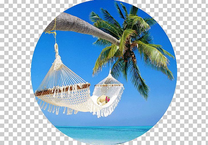 Package Tour Hotel Miramar PNG, Clipart, Beach, Business, Caribbean, Coconut, Get Ready Free PNG Download
