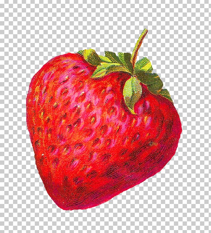 Strawberry Shortcake Fruit PNG, Clipart, Accessory Fruit, Berries, Berry, Blog, Cake Free PNG Download