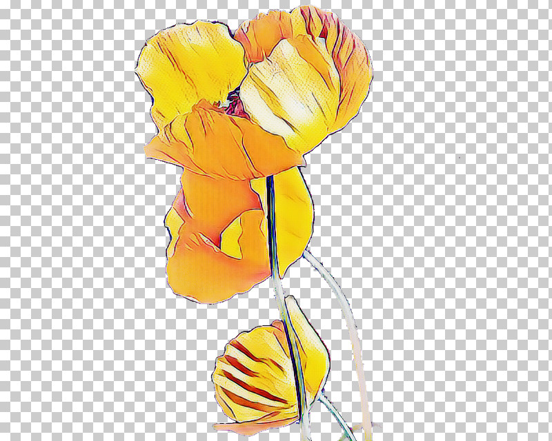 Yellow Cut Flowers Plant Tulip PNG, Clipart, Cut Flowers, Plant, Tulip, Yellow Free PNG Download