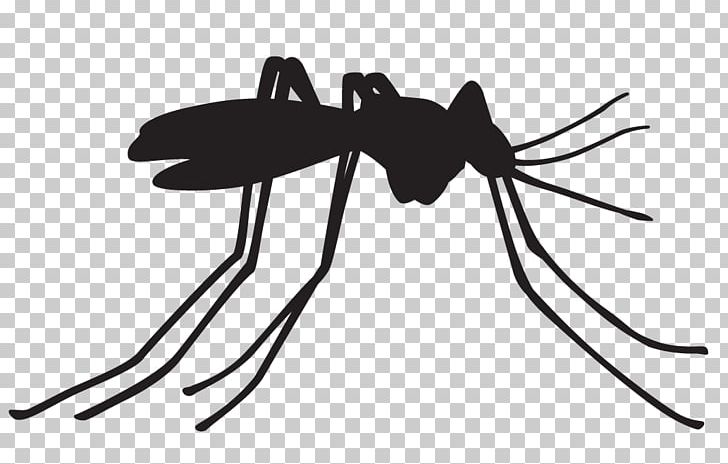 clipart mosquito da dengue