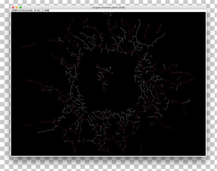 Desktop Computer Screenshot Pattern PNG, Clipart, Animal, Black, Black And White, Black M, Computer Free PNG Download