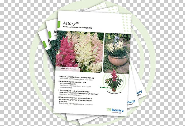 Floral Design Herb PNG, Clipart, Ageratum Houstonianum, Art, Floral Design, Flower, Flower Arranging Free PNG Download
