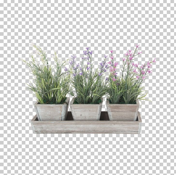 Herb Flowerpot Rectangle Lavender PNG, Clipart, Flowerpot, Grass, Herb, Lavender, Others Free PNG Download