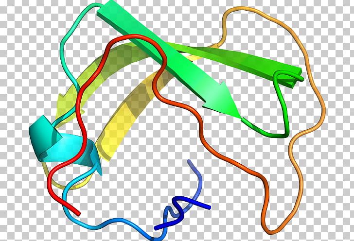Line PNG, Clipart, Area, Art, Line, Pyruvate Kinase Free PNG Download