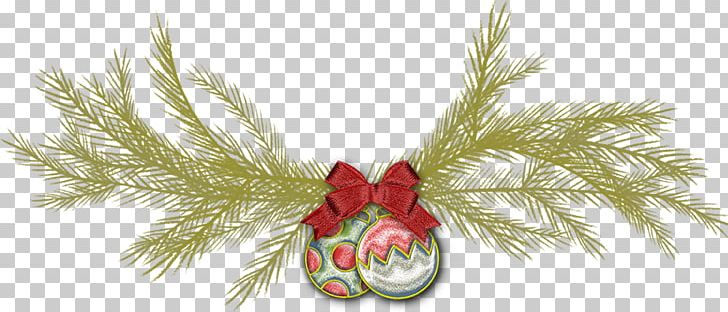 Christmas Ornament Fir Spruce Pine PNG, Clipart, Allu Arjun, Branch, Christmas, Christmas Decoration, Christmas Ornament Free PNG Download