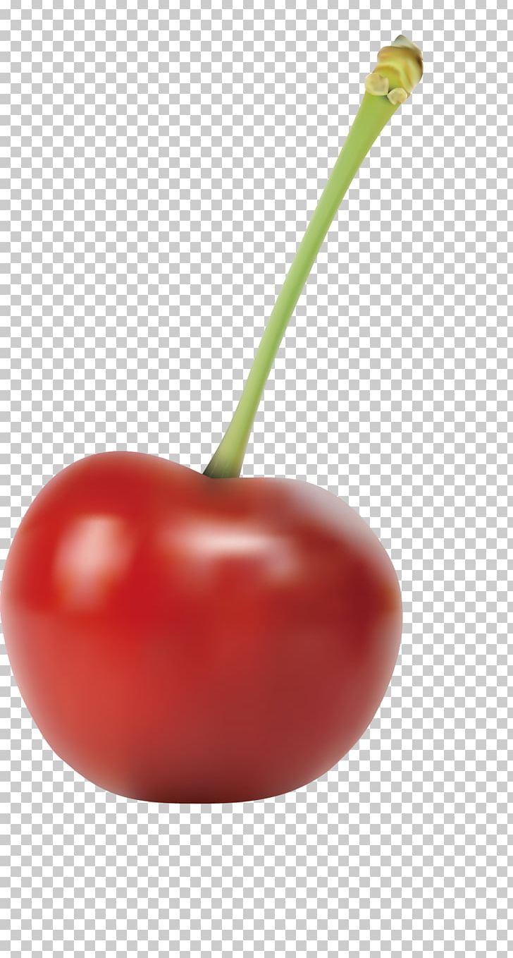 Smoothie Tomato Cherry Euclidean PNG, Clipart, Cherries, Cherry, Cherry Flower, Cherry Tree, Food Free PNG Download