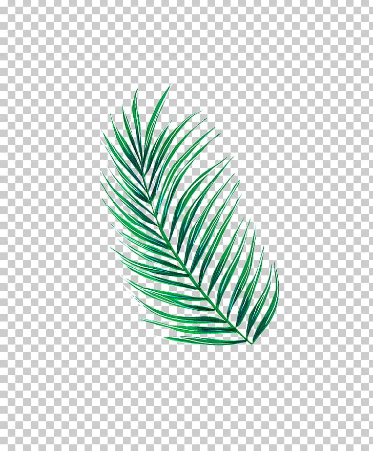 Leaf Line Tree PNG, Clipart, Feather, Grass, Green, Leaf, Line Free PNG Download