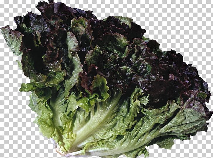 Leaf Vegetable Lettuce Food Collard Greens PNG, Clipart, Broccoli, Cabbage, Chard, Collard Greens, Food Free PNG Download