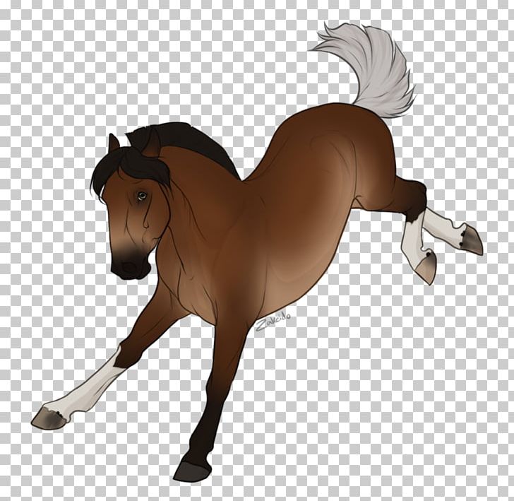 Mane Mustang Stallion Mare Pony PNG, Clipart, Bridle, English Riding, Equestrian, Equestrian Sport, Halter Free PNG Download